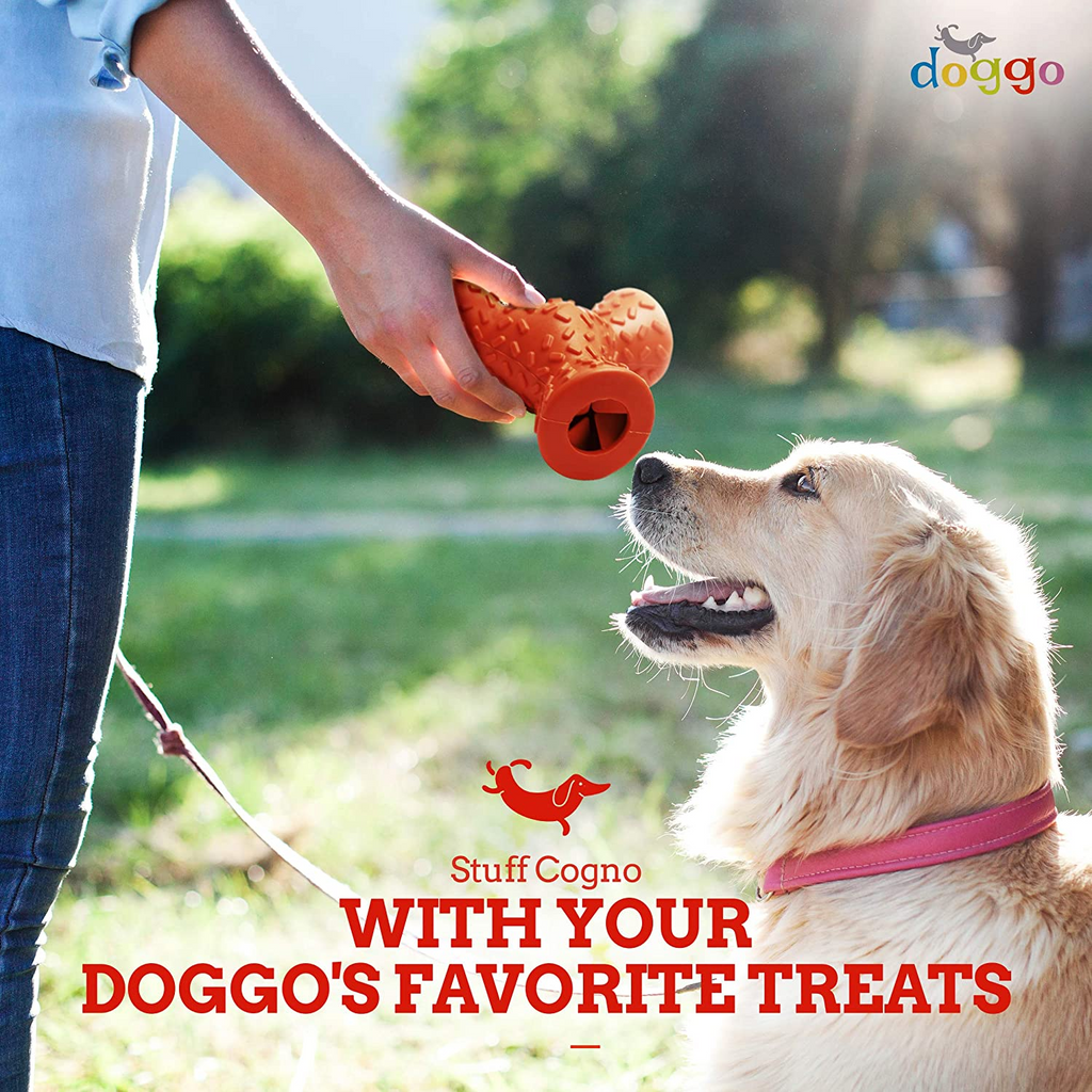 The Ultimate Guide to Shopping for Dog Toys