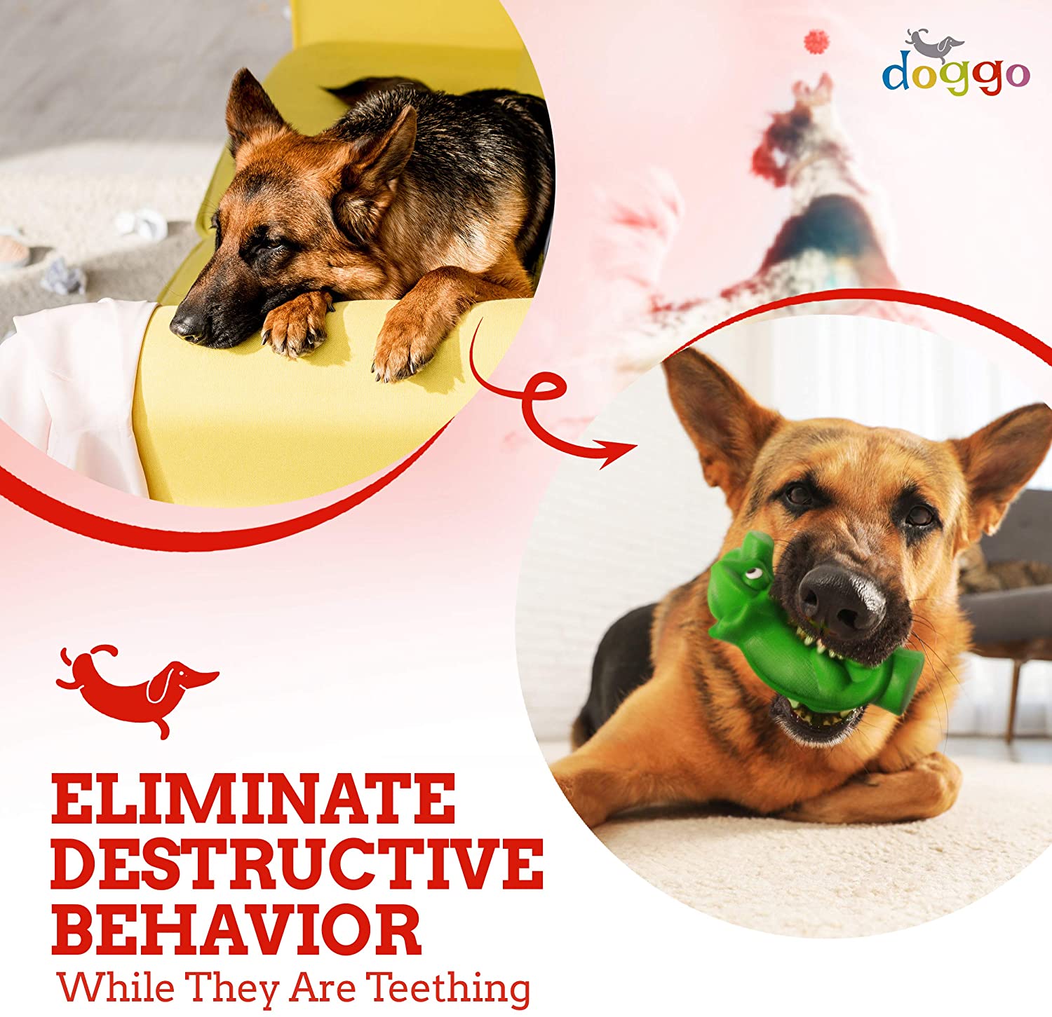 Dog Chew Eliminate Destructive Behaviour While on Teething