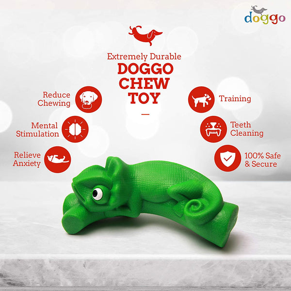 Mint Scented Chew Dog Toys In Canada Freshen Breath Doggo Box